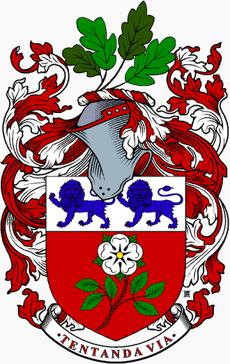 York University logo